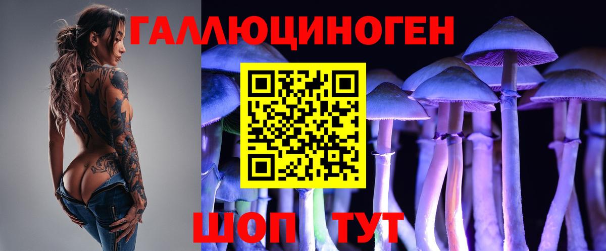 Галлюциногенные грибы мухоморы Владикавказ